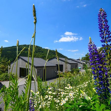 Sauerland Lodge - Haus Maxim Βίντερμπεργκ Εξωτερικό φωτογραφία