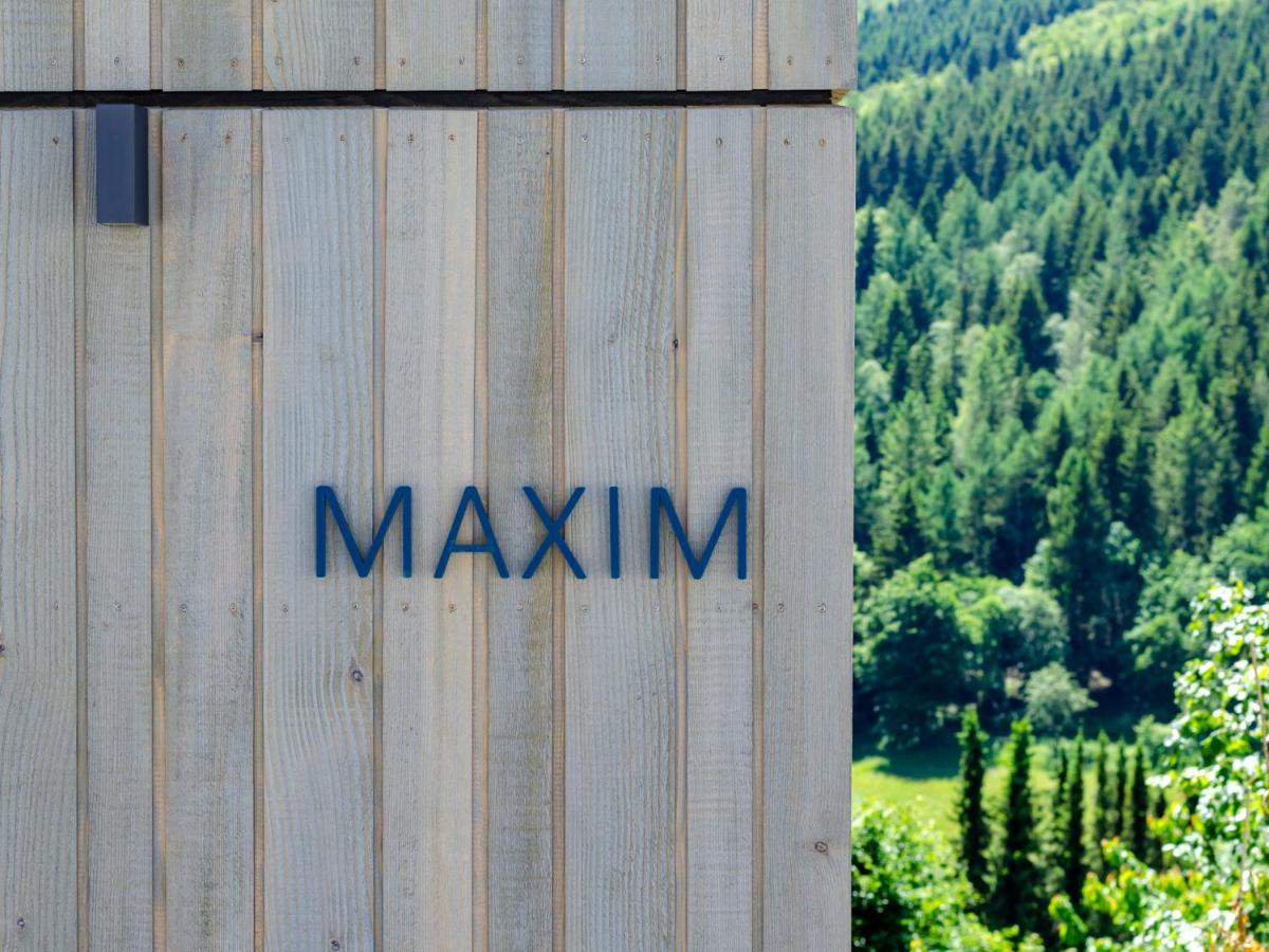 Sauerland Lodge - Haus Maxim Βίντερμπεργκ Εξωτερικό φωτογραφία