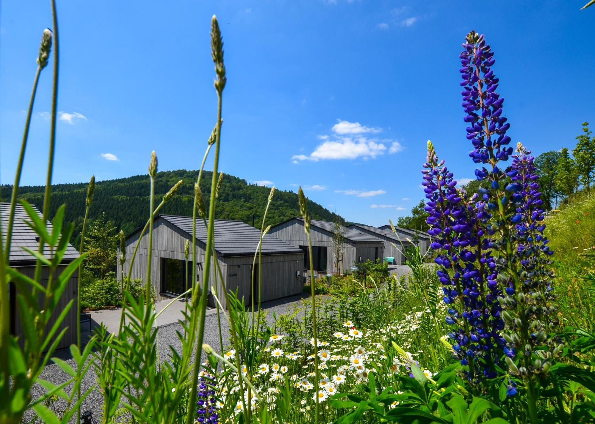 Sauerland Lodge - Haus Maxim Βίντερμπεργκ Εξωτερικό φωτογραφία
